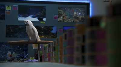 Yeah! Take to the skies,
boss. Take to the skies! - Cats & Dogs 3: Paws Unite