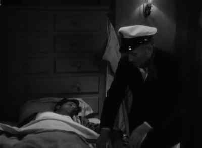 Yeah, that'll fix ya up, young fella. - Bird of Paradise