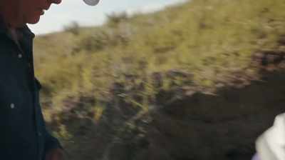 YEAH, THE BLACK LAYER
YOU CAN SEE HERE - Dino Hunters