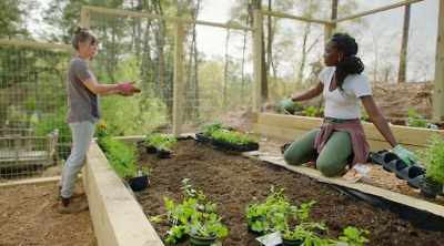 Yeah, the trellis
will be in the middle, - Homegrown