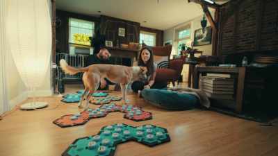 Yeah, there you go.
There's some scritches. - Inside the Mind of a Dog