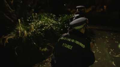Yeah, there have been several
witnesses who report seeing - Wellington Paranormal