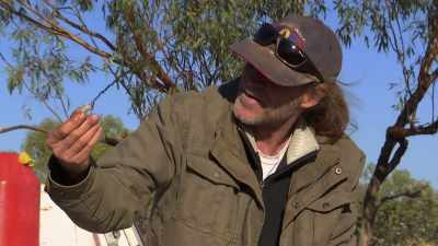 Yeah, there's a few grand there.
Isn't that nice? - Outback Opal Hunters