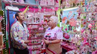 Yeah. This is the place
where everything kind of - The Mystery of the Pink Flamingo