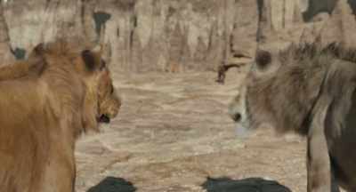 Yeah, try to be confident.
Disinterested. - Mufasa: The Lion King
