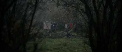 Yeah, um, cut up the bush - Arcadian