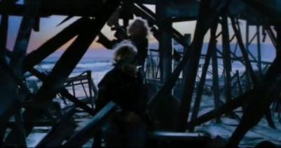 Yeah they wanted it gone - Lords of Dogtown