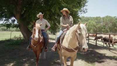 Yeah, well, I didn't need
a place to stay yesterday, - A Cowboy Christmas Romance