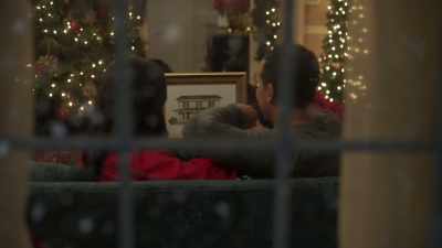 Yeah, well, you know, it has
to be able to be up year round. - A Christmas Open House