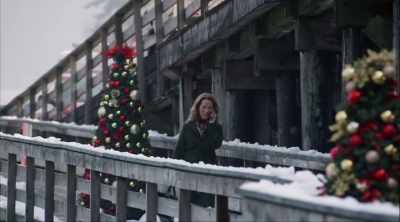 Yeah, well your places
looks more festive every year, - A Godwink Christmas