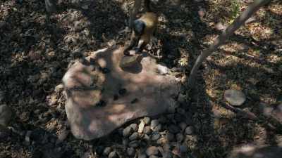 Yeah, but what about
using tools, technology? - Cosmos: Possible Worlds