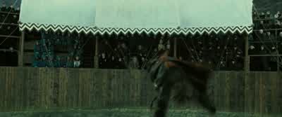 - Yeah! Whoo! - Yeah! Well done, dragon! - Harry Potter and the Goblet of Fire