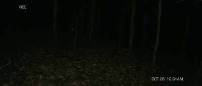 - Yeah, yeah, I'm right here.
- What's wrong with you? Answer us. - The Gracefield Incident