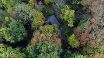 Yeah, yeah, yeah. Luxury
timber treehouse - this is us. - Extraordinary Escapes with Sandi Toksvig