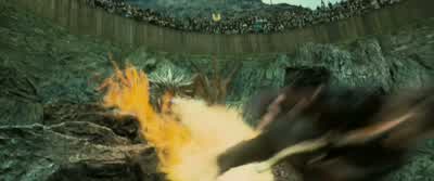 Yeah! Yes! Oooh. Whoa! - Harry Potter and the Goblet of Fire