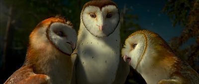 Yeah you had a head start - Legend of the Guardians: The Owls of Ga'Hoole