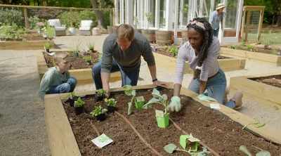 Yeah. You can put 'em all
in the same bed, of course, - Homegrown