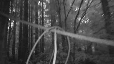Years ago,
the industry was logging, - Expedition Bigfoot