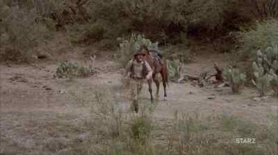 Yee-haw! Haha! - Goin' South