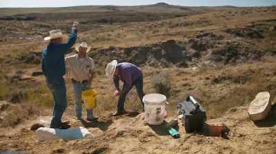 YEE-HAW!
OW-HOO! - Dino Hunters