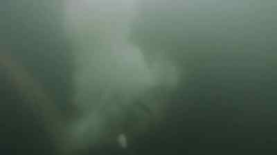 Yee-haw! - Bering Sea Gold