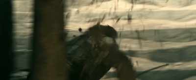 (YELLING AND GRUNTING) - Robin Hood
