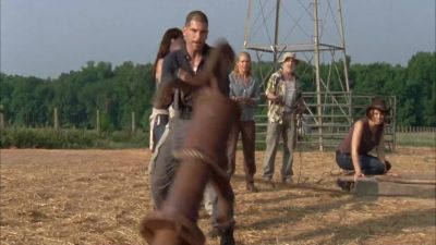 (YELLING) - The Walking Dead