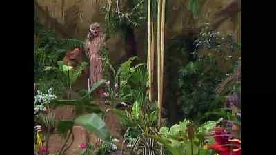 [YELLING] - The Muppet Show