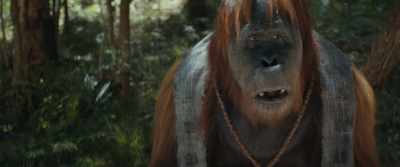 [yells] - Kingdom of the Planet of the Apes