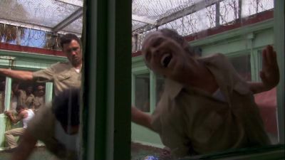 [ Yelping ] - Burn Notice
