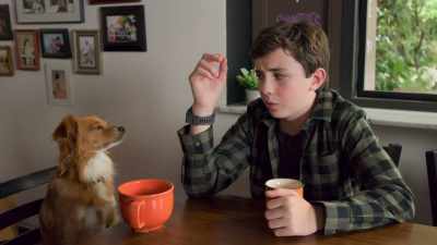 [yelps and whines] - The Healing Powers of Dude