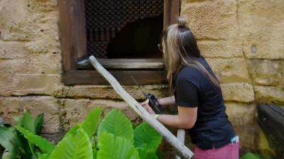 Yep, Logan is secure. Logan is secure. - Magic of Disney's Animal Kingdom