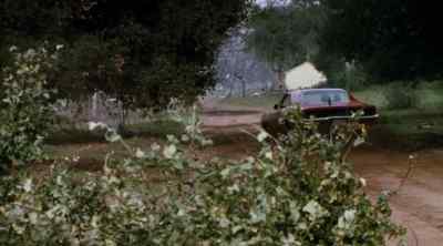 Yep, that's Bo and Luke. - The Dukes of Hazzard