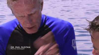 -Yep.
-This whole area back here - Chasing Coral