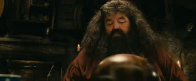Yes. And no. - Harry Potter and the Philosopher's Stone