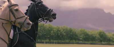 -Yes!
-...but she was pushing me too hard. - Black Beauty