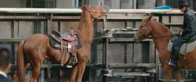 Yes, exactly. It's like a,
a battery for magic. - Ride On