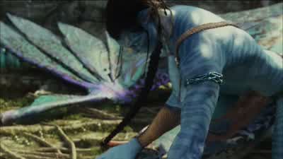 Yes exactly. - Avatar