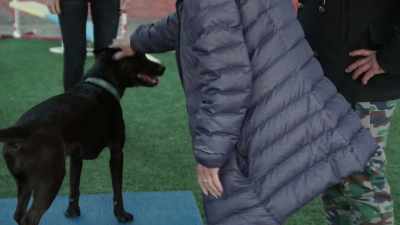 Yes. Give her affection. - Cesar Millan: Better Human, Better Dog