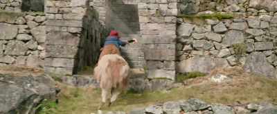 Yes! Here we go.
Thank you. And this way! - Paddington in Peru