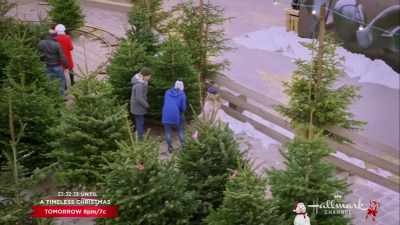 - Yes, I do, - Christmas in Vienna