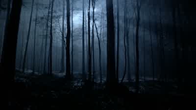 Yes, I see it. - Teen Wolf