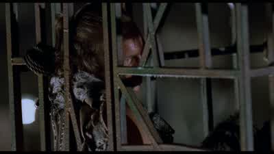 Yes, I see. - Waterworld