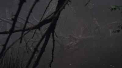 Yes, it is. - The Watcher in the Woods