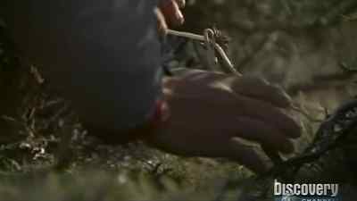 Yes it has a musky smell - Man vs. Wild