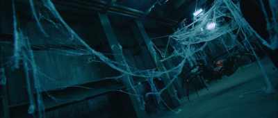 Yes, I've called for the
National Guard, but the mobs - Giant Spider