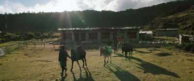 Yes, but no one like you. - Lunana: A Yak in the Classroom