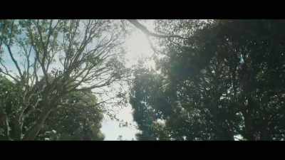 Yes, no one’s allowed
to cut trees here. - Virgin Forest