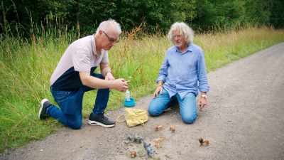 Yes. Protected species.
We've got to have them in there. - James May and the Dull Men