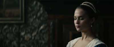 Yes, put your brush to capturing my wife. - Tulip Fever